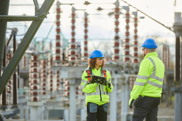 Best Residential Electrician Services  in Ludowici, GA