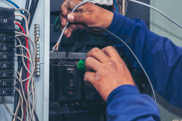 Best Electrical Repair Services  in Ludowici, GA